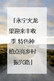 永宁火龙果迎来丰收季 特色种植点亮乡村振兴路